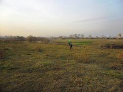 post-32197-0-13696600-1419841132_thumb.j