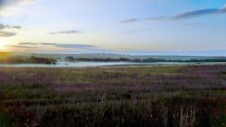 post-32197-0-20197700-1418589079_thumb.j