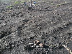 post-32197-0-23938400-1420023917_thumb.j