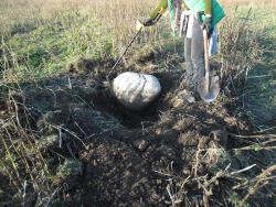 post-32197-0-29954800-1418642666_thumb.j