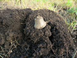 post-32197-0-35275500-1420022573_thumb.j