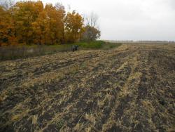 post-32197-0-36005300-1418589431_thumb.j