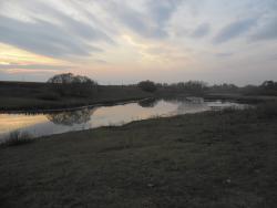 post-32197-0-48751400-1419841153_thumb.j