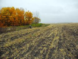 post-32197-0-65120700-1419865375_thumb.j