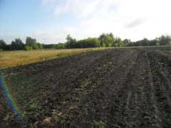 post-32197-0-65289600-1419959830_thumb.j