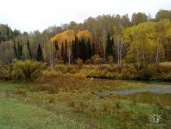 post-4119-0-52271000-1419084914_thumb.jp