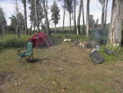 post-4119-0-52519600-1418579631_thumb.jp