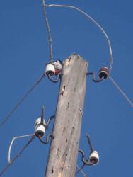 post-4119-0-56956800-1419194410_thumb.jp