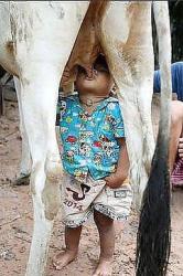 post-4119-0-66316900-1419184927_thumb.jp