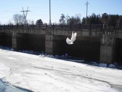 post-4119-0-72813800-1418579602_thumb.jp