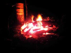 post-4119-0-81516200-1418579535_thumb.jp