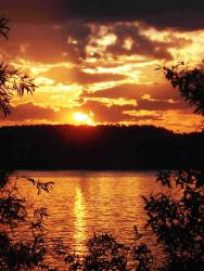 post-4119-0-85763700-1418579570_thumb.jp