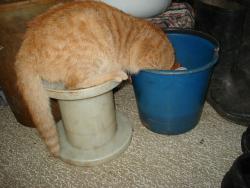 post-4119-0-88271100-1419184918_thumb.jp