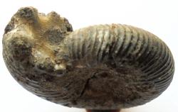 post-4376-0-90771000-1417424768_thumb.jp