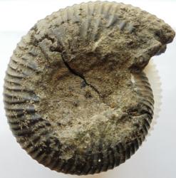 post-4376-0-91237300-1417424757_thumb.jp