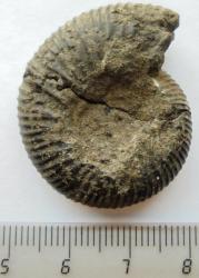 post-4376-0-98786000-1417424748_thumb.jp