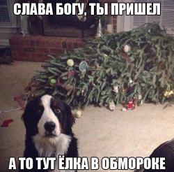 post-4485-0-00991400-1417787841_thumb.jp