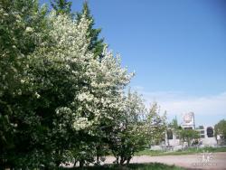 post-4485-0-66794400-1417453180_thumb.jp