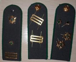 post-4533-0-62788600-1417944101_thumb.jp