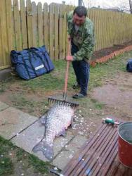 post-4989-0-11505100-1417969354_thumb.jp