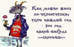 post-4989-0-36019800-1419765258_thumb.jp