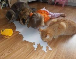 post-4989-0-78660700-1419972113_thumb.jp