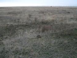 post-6890-0-36534700-1418627321_thumb.jp