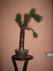 post-6890-0-91055900-1420039462_thumb.jp