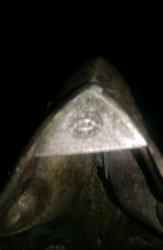 post-7975-0-44835800-1418908088_thumb.jp