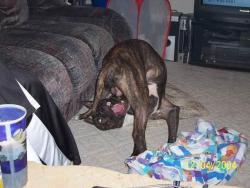 post-9171-0-65224300-1418402616_thumb.jp