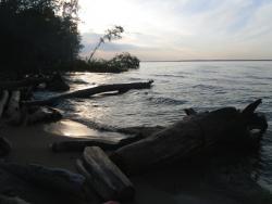 post-9966-0-57949500-1419857140_thumb.jp