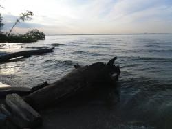 post-9966-0-66487400-1419857154_thumb.jp