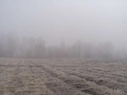 post-10300-0-36863100-1449135222_thumb.j