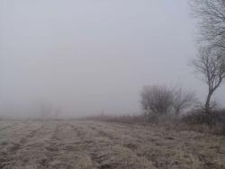 post-10300-0-61881300-1449135205_thumb.j