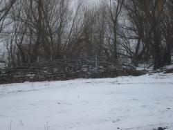 post-12373-0-26794700-1449413300_thumb.j