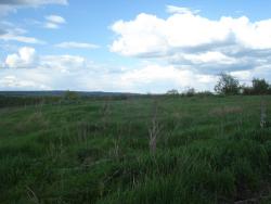 post-12373-0-30455700-1449577784_thumb.j