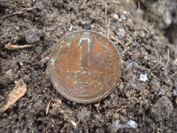 post-12373-0-39144400-1449414706_thumb.j