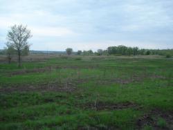 post-12373-0-45295900-1449041853_thumb.j