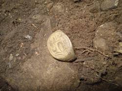 post-12373-0-46456100-1450534438_thumb.j