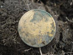 post-12373-0-51294700-1449042134_thumb.j