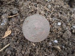 post-12373-0-61482500-1449414717_thumb.j