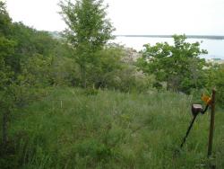 post-12373-0-70736600-1450534143_thumb.j