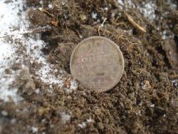 post-12373-0-73147700-1449414406_thumb.j