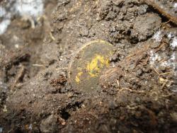 post-12373-0-95782400-1449414771_thumb.j