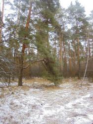 post-26962-0-60429300-1450034828_thumb.j