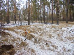 post-26962-0-61312400-1450034759_thumb.j