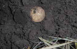 post-26962-0-73093300-1450034930_thumb.j