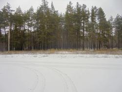 post-26962-0-92663600-1450034798_thumb.j