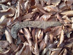 post-27737-0-32224500-1449826820_thumb.j