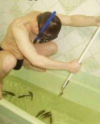 post-28613-0-26427800-1450545106_thumb.j